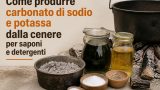 Come produrre carbonato di sodio e potassa dalla cenere per saponi e detergenti