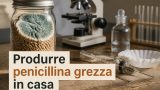 Produrre penicillina grezza in casa con tecniche di fermentazione controllata