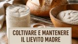 Coltivare e mantenere il lievito madre per pane e pizza senza lievito industriale