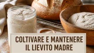 Coltivare e mantenere il lievito madre per pane e pizza senza lievito industriale