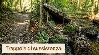 Costruire trappole per la caccia di sussistenza a piccola selvaggina
