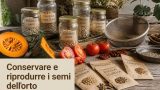 Conservare e riprodurre i semi dell’orto per l’autosufficienza