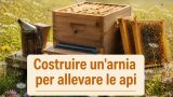 Costruire un’arnia per allevare le api