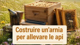 Costruire un’arnia per allevare le api